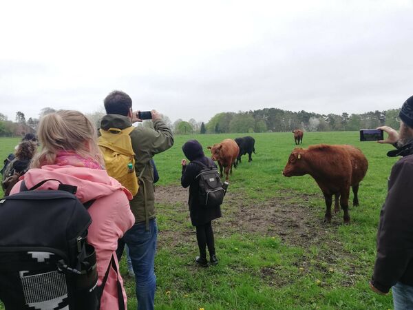 Exkursion_Biolandhof_Angusrinder_Bildquelle_V-Haegele
